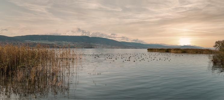 Sustainable commitment